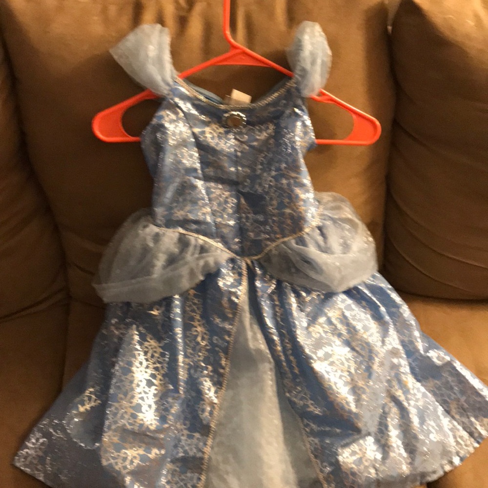 Girls Cinderella costume!